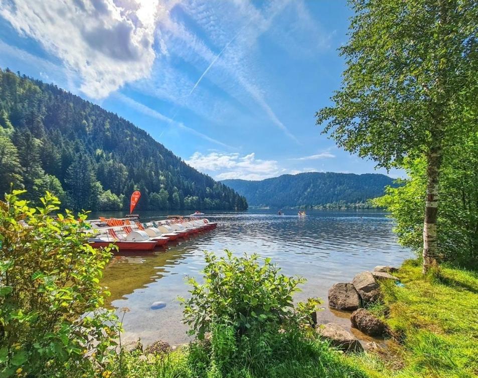Gite Spa "La Foret Argentee" Proche Gerardmer Laveline-du-Houx Exterior photo